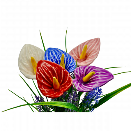 Calla flower-0