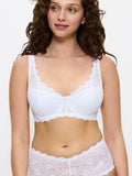 Soft model 229125 Triumph-0