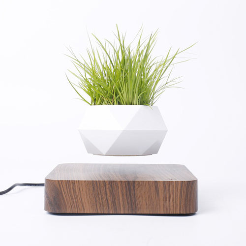 White geometric flowerpot with green grass, levitating above a dark wood base. Background is plain white.