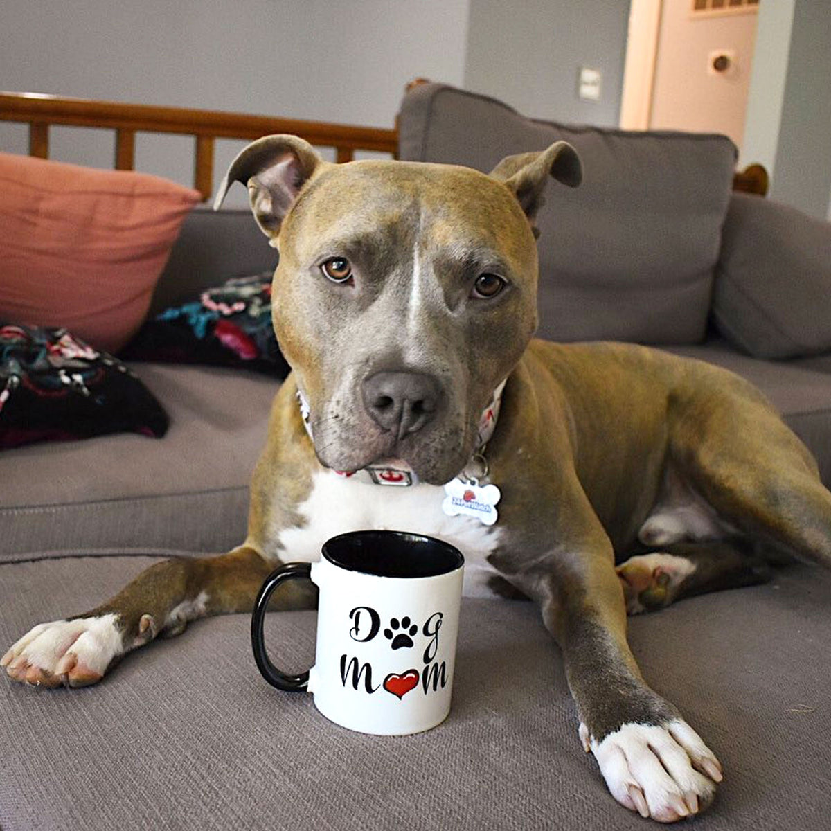 Dog Mom Mug W/Color Handle-1