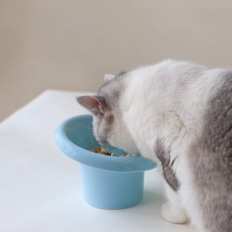 Fafa Elevated Ceramic Pet Bowl-3