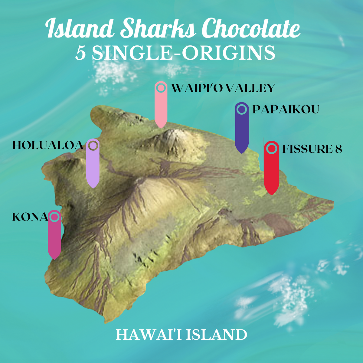 100% Pure Hawaiian Cacao Tea-5