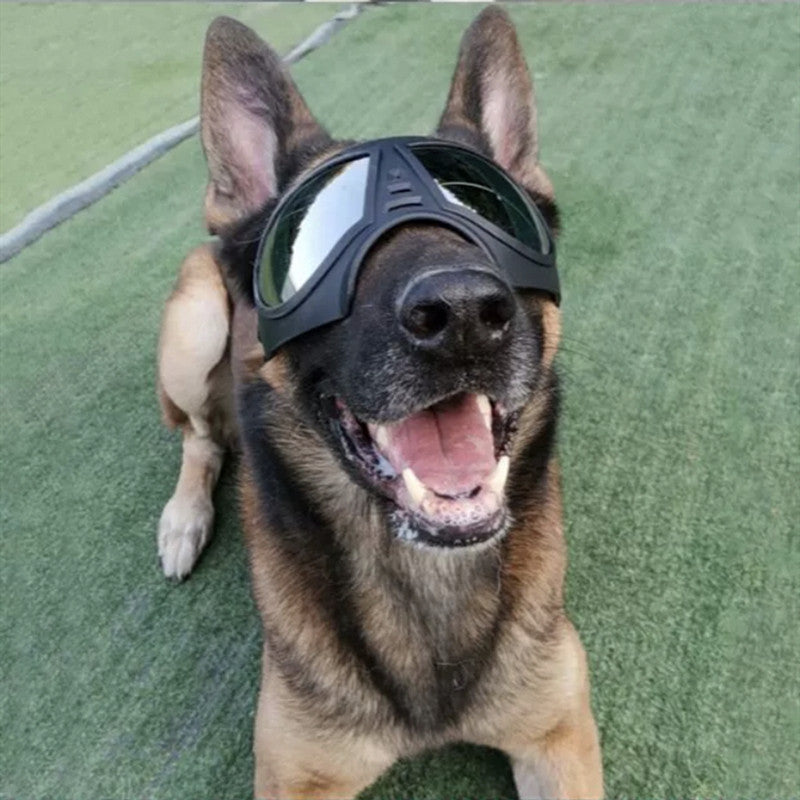 Large dog-ink sunglasses-2