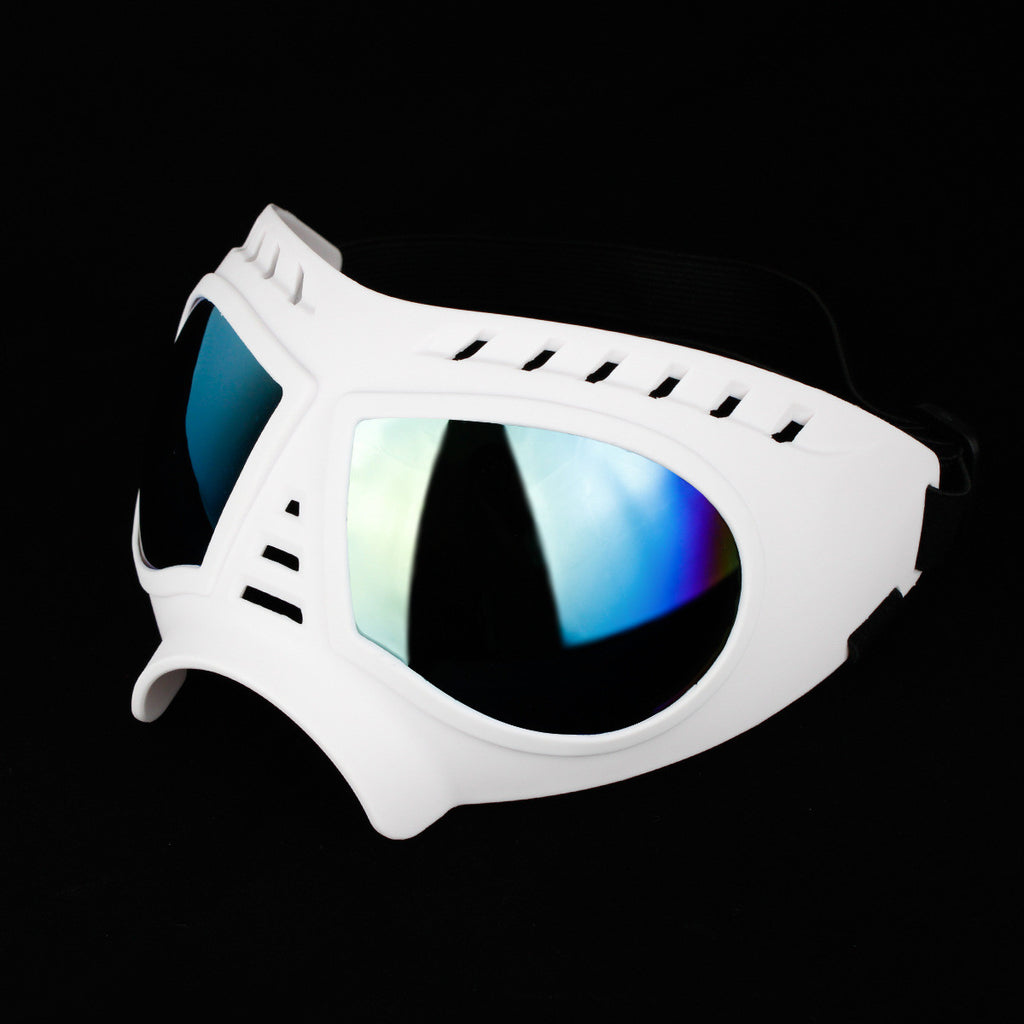 Large dog-ink sunglasses-8