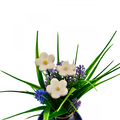 Strawberry flower-0