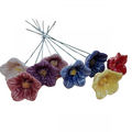 Forget-Me-Not flower-0