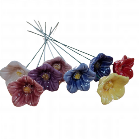 Forget-Me-Not flower-0