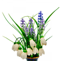 Ceramic Snowdrop-0