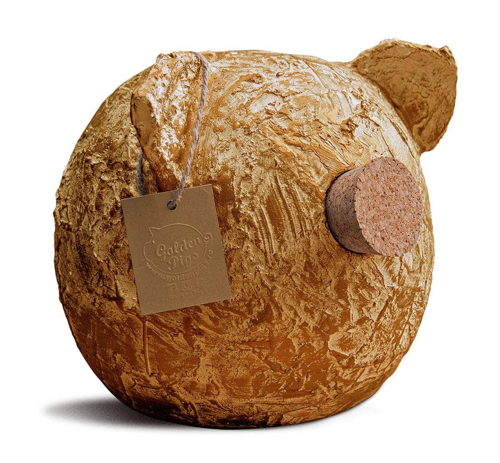 Ceramic Piggy Bank - Grunge Collection | Vintage Money Box Jar-5