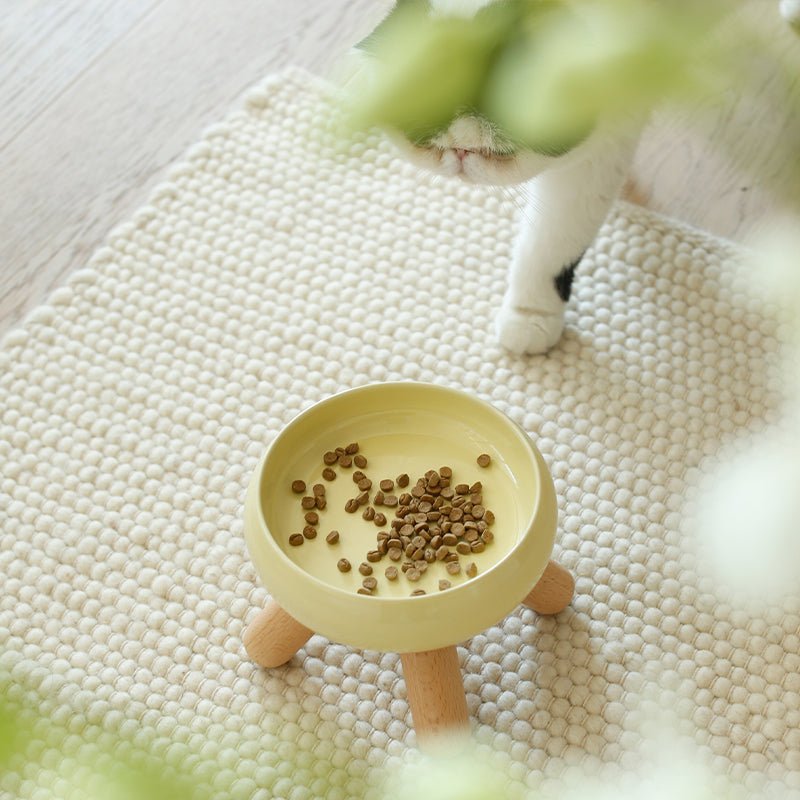 Gulu Elevated Ceramic Pet Food Bowl with Wooden Stand-7