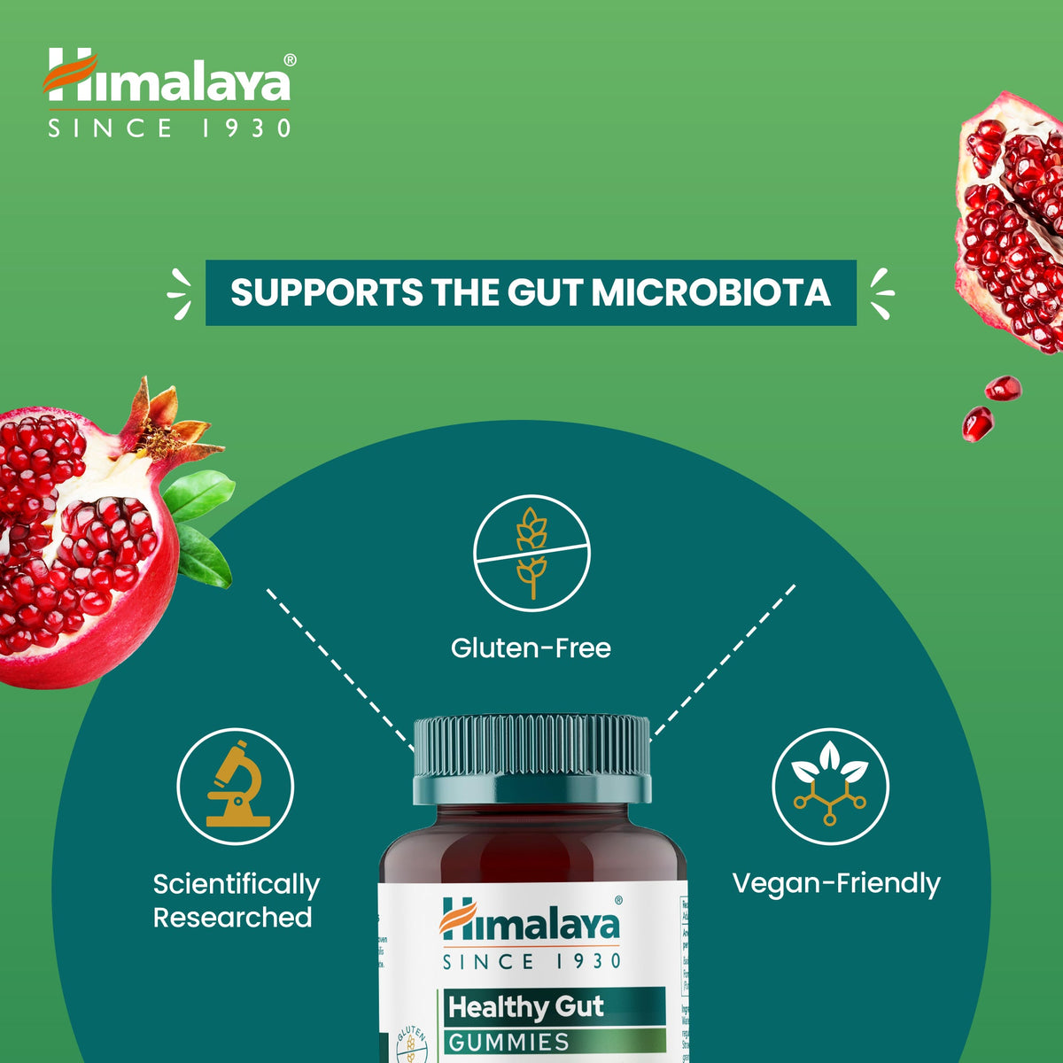 Himalaya Healthy Gut Gummies