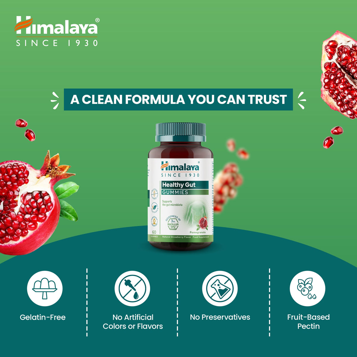 Himalaya Healthy Gut Gummies