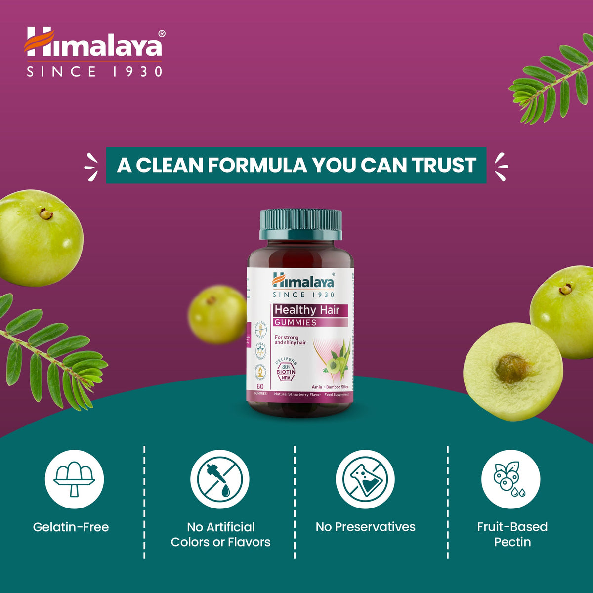 Himalaya Healthy Hair Gummies
