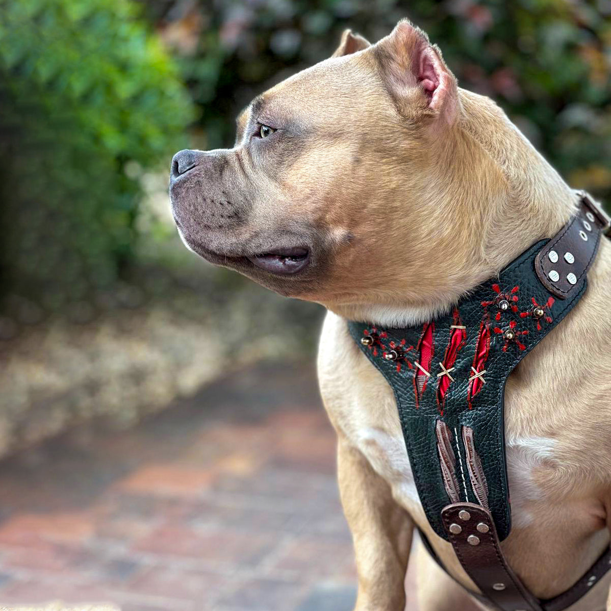 The ''Haunted'' harness LIMITED-4