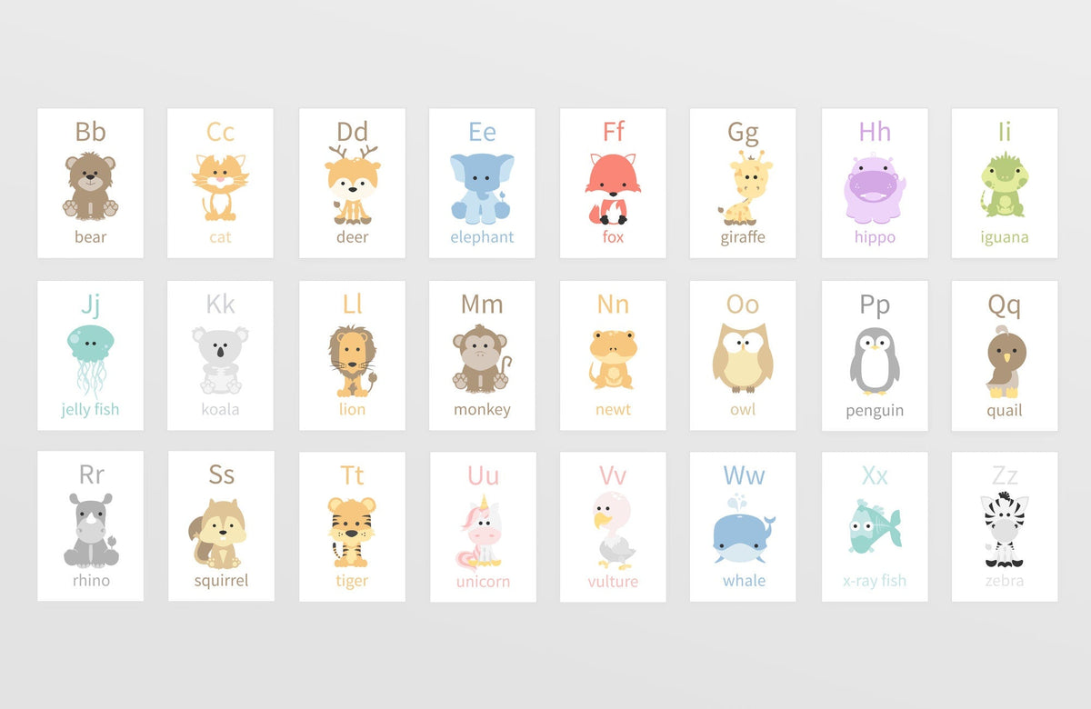 66-Piece Toddler Flash Card Bundle | ABC, Numbers, Colors, Shapes & Weather