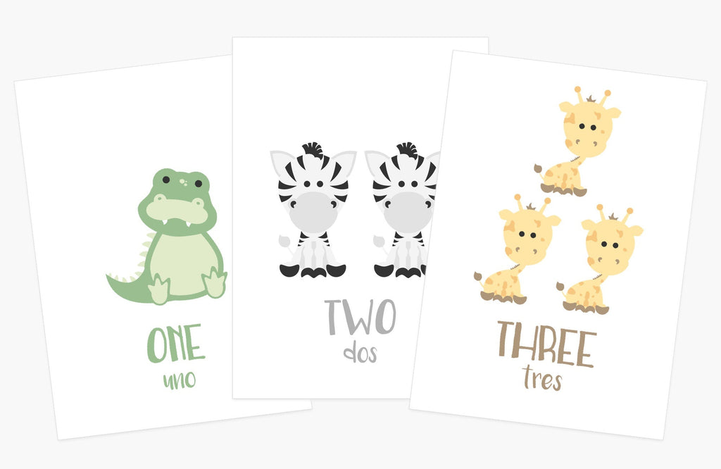 66-Piece Toddler Flash Card Bundle | ABC, Numbers, Colors, Shapes & Weather