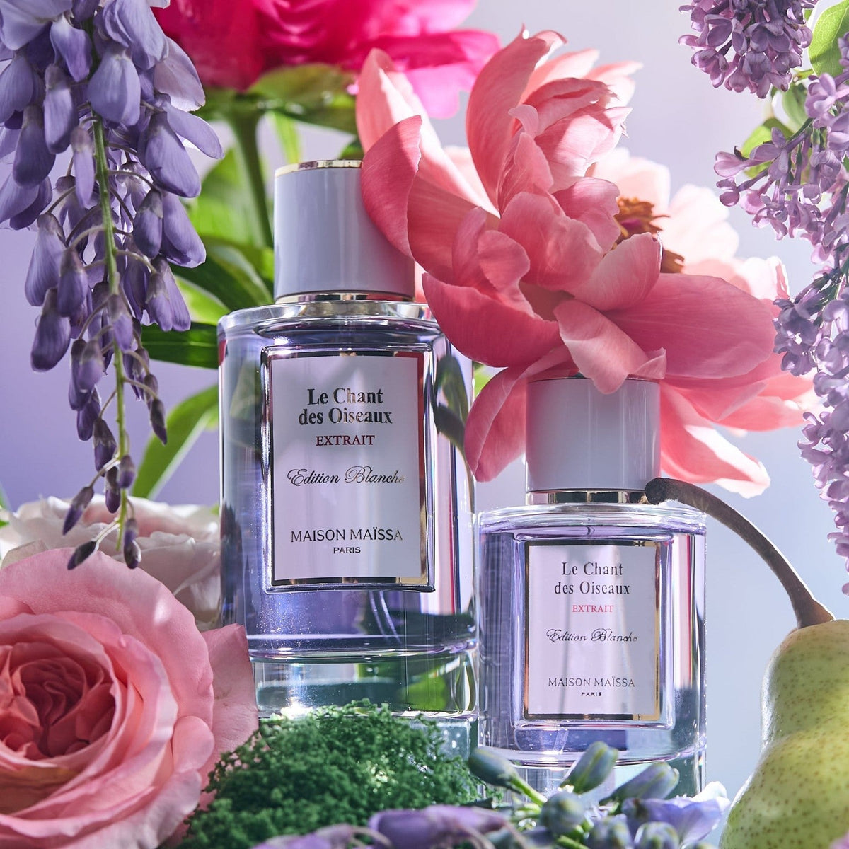 Le Chant des Oiseaux Extrait by Maison Maïssa 50ml-2