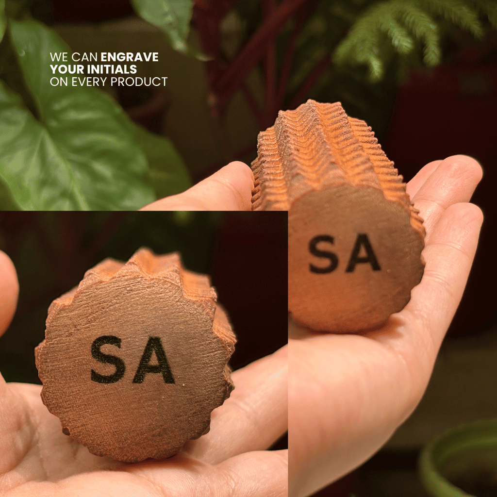 Porcupine massage roller-5