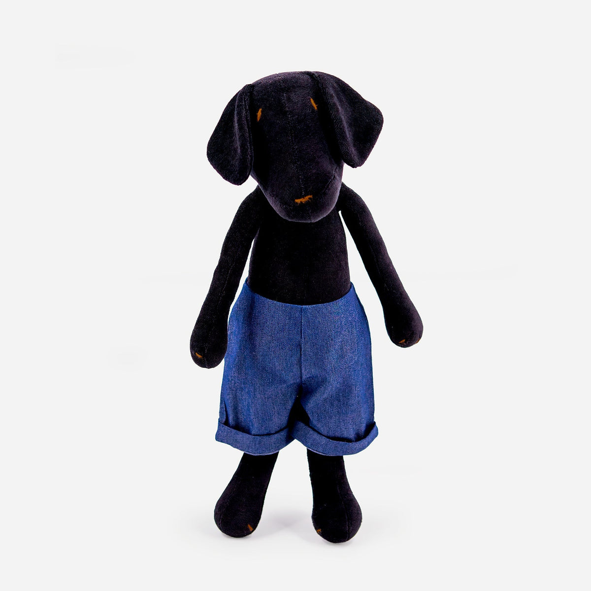 MAX LE LABRADOR - L-6