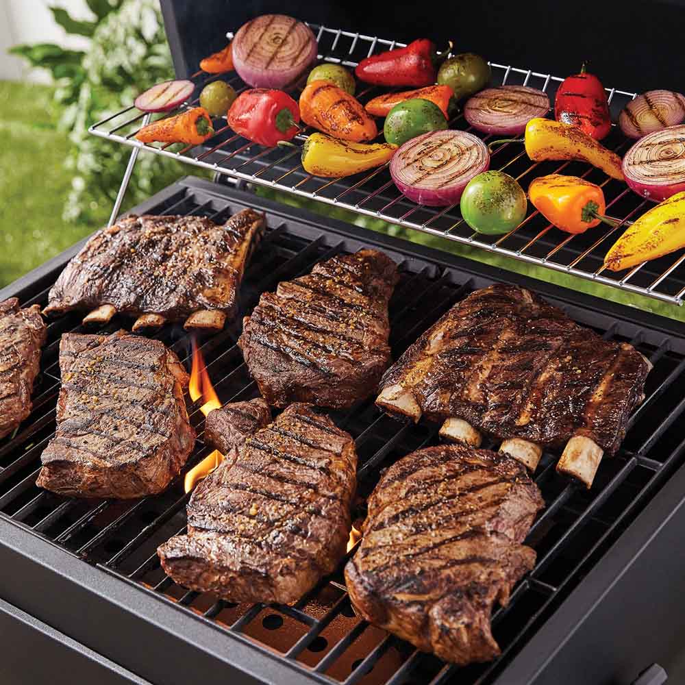 Multifunctional grill-4