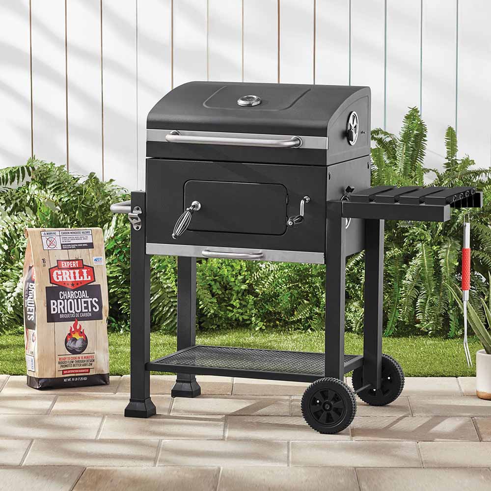 Multifunctional grill-1