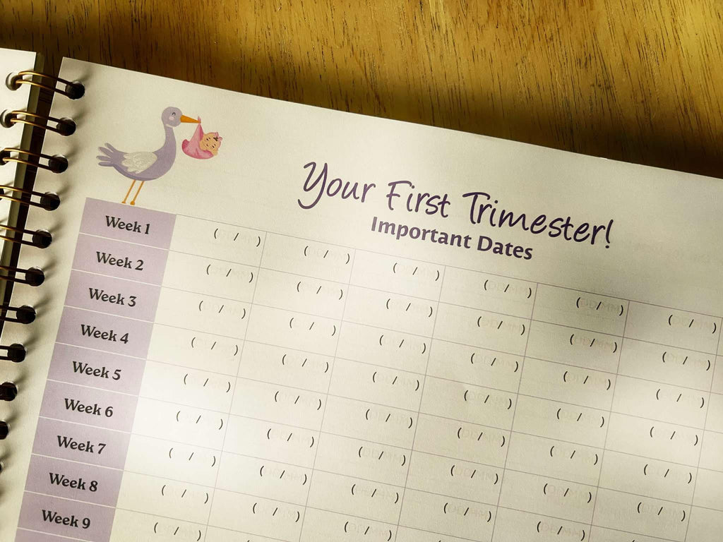 Luxury Pregnancy Journal – The Perfect Pregnancy Gift for First-Time Parent (Irish Brand))-3
