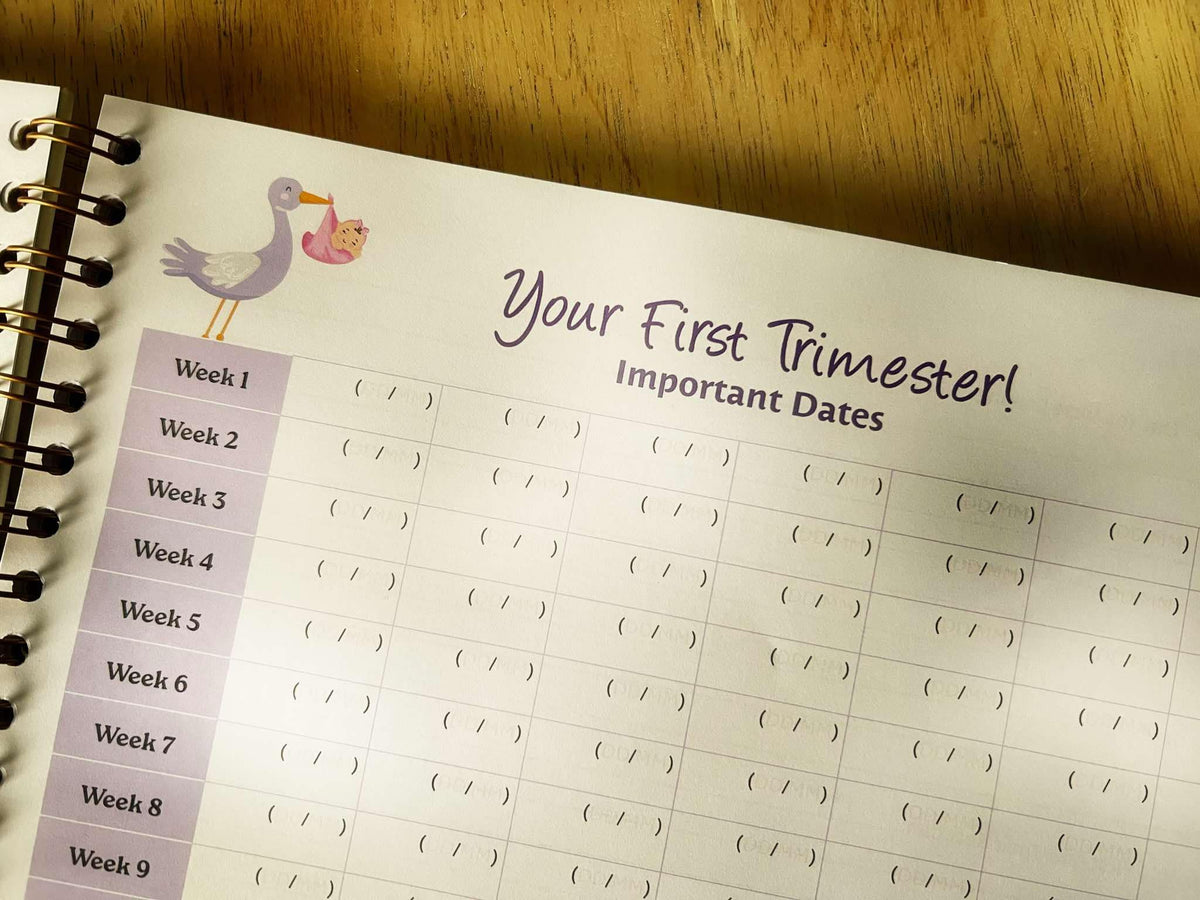Luxury Pregnancy Journal – The Perfect Pregnancy Gift for First-Time Parent (Irish Brand))-3