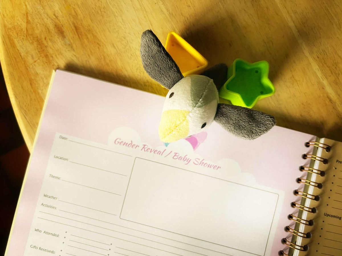 Luxury Pregnancy Journal – The Perfect Pregnancy Gift for First-Time Parent (Irish Brand))-2