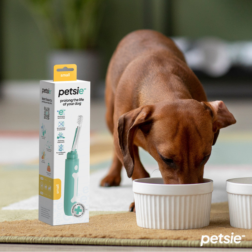 Petsie dog toothbrush (size S -10kg)-4