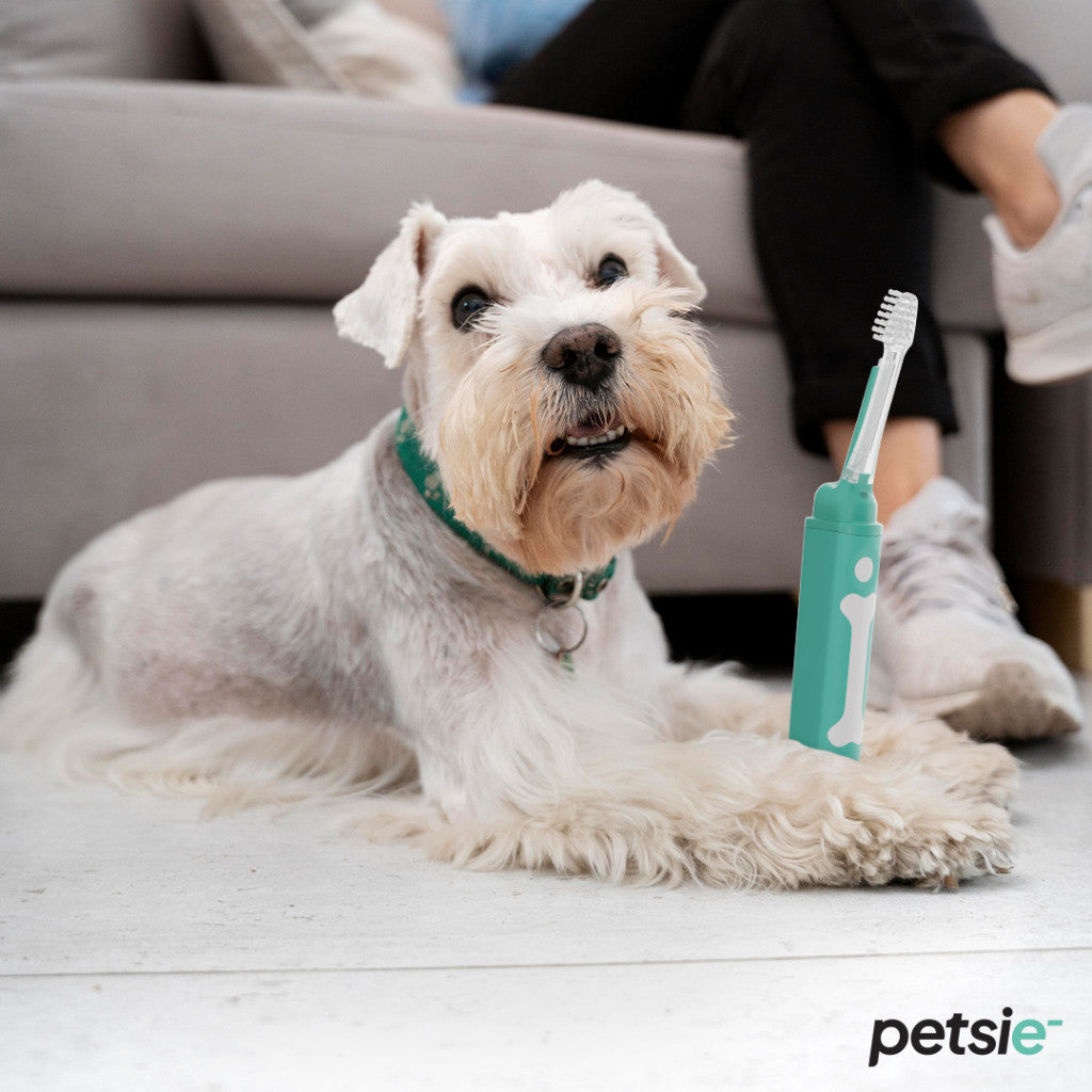 Petsie dog toothbrush (size M  10-20kg)-6