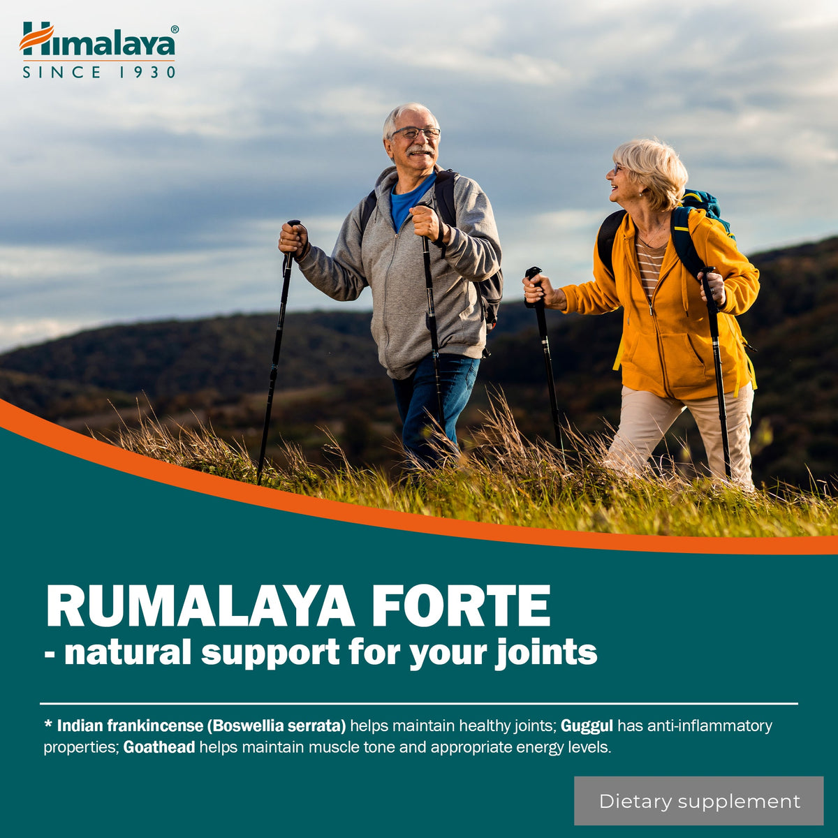Himalaya Rumalaya forte - 60 Tablets-3