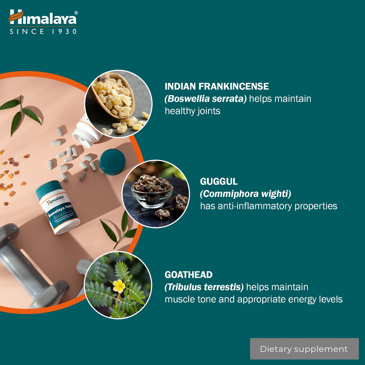 Himalaya Rumalaya forte - 60 Tablets-4