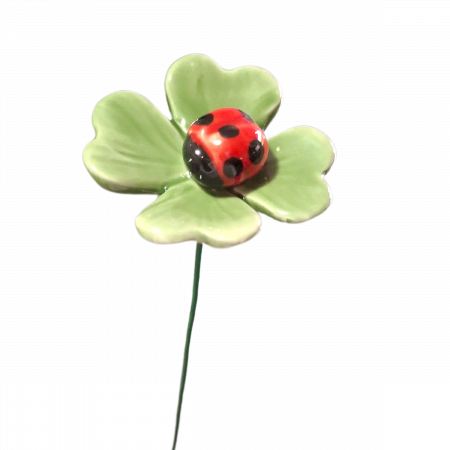 Lucky clover with ladybug-0