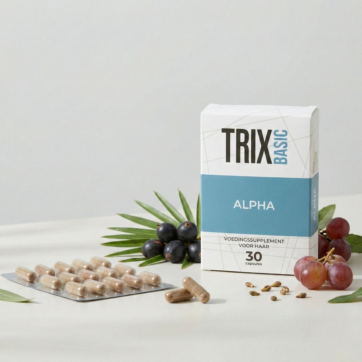 TRIX Basic Alpha-2